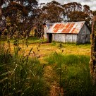 Howitt Plains Hut